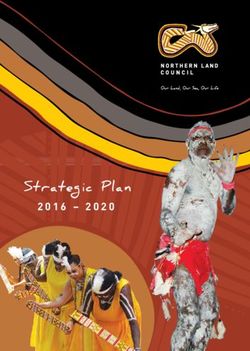 Strategic Plan 2016 2020 - Northern Land Council