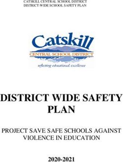 DISTRICT WIDE SAFETY PLAN - PROJECT SAVE SAFE SCHOOLS AGAINST VIOLENCE IN EDUCATION