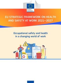 EU STRATEGIC FRAMEWORK ON HEALTH AND SAFETY AT WORK 2021-2027 - Occupational safety and health in a changing world of work