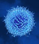 A World Without Infectious Disease - CORPORATE OVERVIEW June 1, 2022