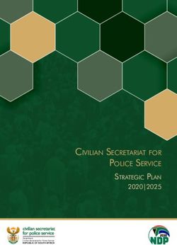 CIVILIAN SECRETARIAT FOR POLICE SERVICE - STRATEGIC PLAN 2020|2025 - AWS