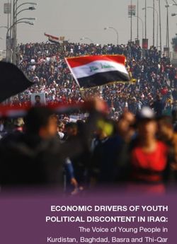 ECONOMIC DRIVERS OF YOUTH POLITICAL DISCONTENT IN IRAQ: The Voice of Young People in Kurdistan, Baghdad, Basra and Thi-Qar