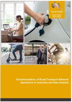 Decarbonisation of Road Transport Network Operations in Australia and New Zealand - Issues Paper AP-C110-20