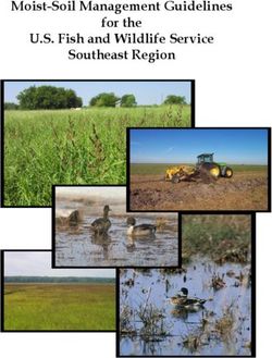 Moist-Soil Management Guidelines for the U.S. Fish and Wildlife Service Southeast Region