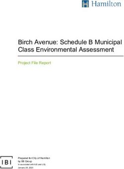 Birch Avenue: Schedule B Municipal Class Environmental Assessment - Project File Report - City of Hamilton