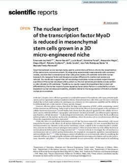 The nuclear import of the transcription factor MyoD is reduced in mesenchymal stem cells grown in a 3D micro engineered niche - Nature