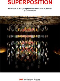 SUPERPOSITION Evaluation of 2013 pilot project for the Institute of Physics - by Elizabeth Lynch