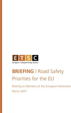 BRIEFING | Road Safety Priorities for the EU - Briefing to Members of the European Parliament March 2021