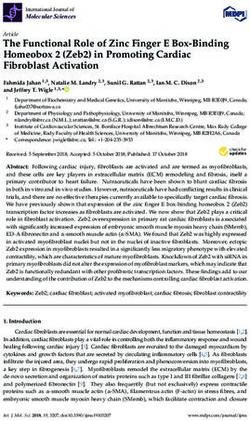 The Functional Role of Zinc Finger E Box-Binding Homeobox 2 (Zeb2) in Promoting Cardiac Fibroblast Activation