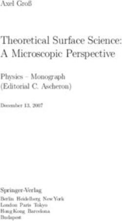 Theoretical Surface Science: A Microscopic Perspective - Axel Groß Physics - Monograph (Editorial C. Ascheron)