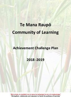 Te Mana Raupō Community of Learning - Achievement Challenge Plan 2018 -2019 - Ministry of Education