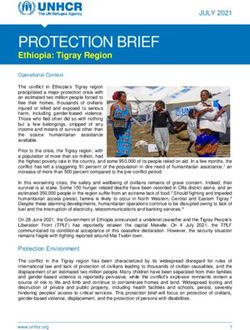 PROTECTION BRIEF - UNHCR Global Focus
