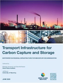 Transport Infrastructure for Carbon Capture and Storage