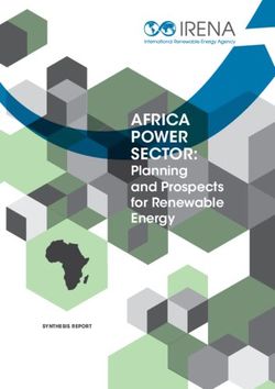 AFRICA POWER SECTOR: Planning and Prospects for Renewable Energy - SYNTHESIS REPORT - International Renewable Energy Agency