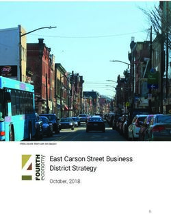 East Carson Street Business District Strategy - October, 2018 - Urban ...