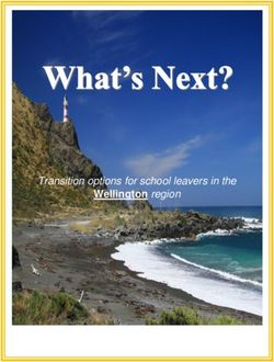 Wellington region Transition options for school leavers in the - NZDSN