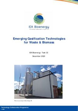 Emerging Gasification Technologies For Waste & Biomass - IEA Bioenergy ...