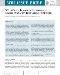 WRI ISSUE BRIEF CCS in China: Toward an Environmental, Health, and Safety Regulatory Framework