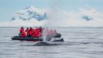 ANTARCTIC PENINSULA Land of Penguins and Icebergs - Explor Cruises