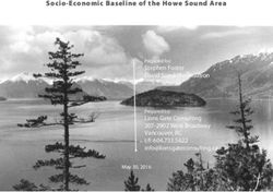 Socio-Economic Baseline of the Howe Sound Area - Stephen Foster David Suzuki Foundation - David ...