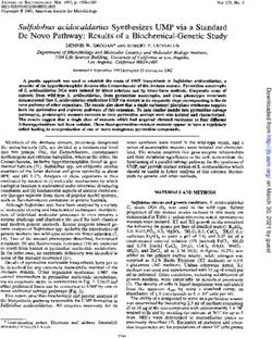 Sulfolobus acidocaldarius Synthesizes UMP via a Standard De Novo Pathway: Results of a Biochemical-Genetic Study