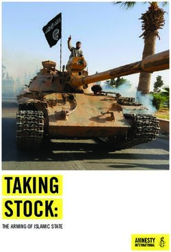 TAKING STOCK: THE ARMING OF ISLAMIC STATE