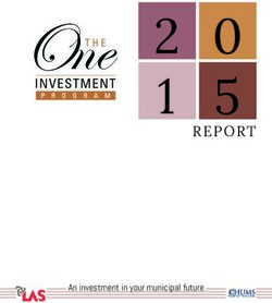 REPORT - An investment in your municipal future - One Investment