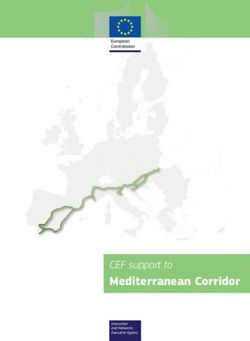 Mediterranean Corridor - CEF support to
