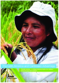 The Latin America and Caribbean Advantage - International ...