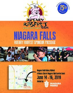 NIAGARA FALLS - 15TH - niagara falls ribfest 2019
