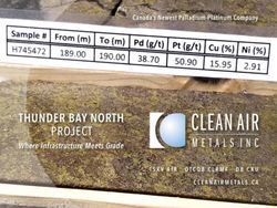 Thunder Bay North Project - "Metals for the Clean Air Revolution" Corporate Presentation | January, 2021 - Clean Air Metals Inc.