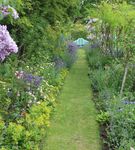 Celebrations at West Green House Gardens - An Idyllic Garden Venue in the heart of the Hampshire Countryside