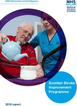 Scottish Stroke Improvement Programme - 2019 report - NSS Information and Intelligence