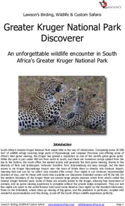 Greater Kruger National Park Discoverer - An unforgettable wildlife encounter in South Africa's Greater Kruger National Park - Lawson's ...