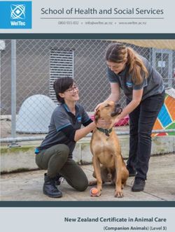 School of Health and Social Services - New Zealand Certificate in Animal Care (Companion Animals) (Level 3) - WelTec