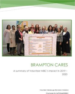BRAMPTON CARES A summary of Volunteer MBC's impact in 2019 2020 - eSCRIBE Published Meetings