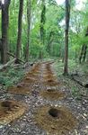 Spring 2022 - Volume 4, Issue 1 - Ribbon cutting event of the Reynolds Family Nature Trail at Ohio Living Swan Creek