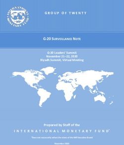 GROUP OF TWENTY G-20 SURVEILLANCE NOTE - International ...