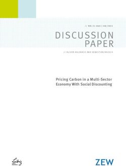 Pricing Carbon in a Multi-Sector Economy With Social Discounting - ZEW