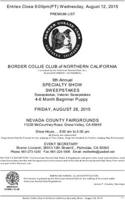 BORDER COLLIE CLUB of NORTHERN CALIFORNIA
