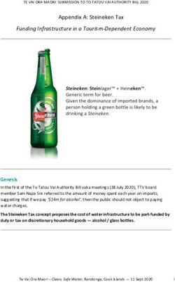 Appendix A: Steineken Tax - Funding Infrastructure in a Tourism Dependent Economy