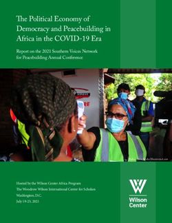 The Political Economy of Democracy and Peacebuilding in Africa in the COVID-19 Era