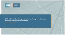 Call for advice on Basel III implementation: key findings from the impact assessment and policy recommendations - Public Hearing | 2 July 2019