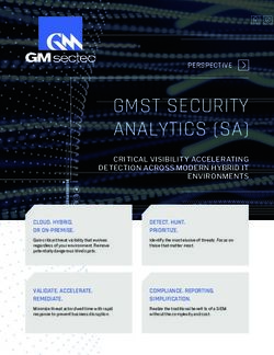 GMST SECURITY ANALYTICS (SA) - PERSPECTIVE - GM Sectec