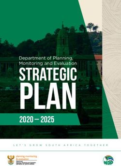 Plan Strategic 2020 2025 - DPME