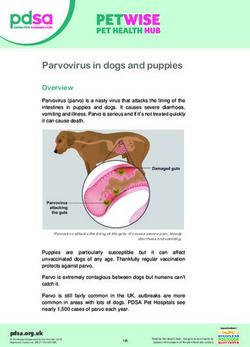 Parvovirus in dogs and puppies - Overview - PDSA