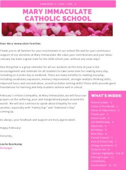 MARY IMMACULATE CATHOLIC SCHOOL - Mary Immaculate School