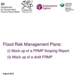 Flood Risk Management Plans: (i) Mock up of a FRMP Scoping Report (ii) Mock up of a draft FRMP