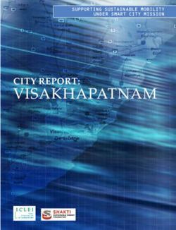 VISAKHAPATNAM CITY REPORT: SUPPORTING SUSTAINABLE MOBILITY UNDER SMART CITY MISSION - SHAKTI SUSTAINABLE ENERGY FOUNDATION