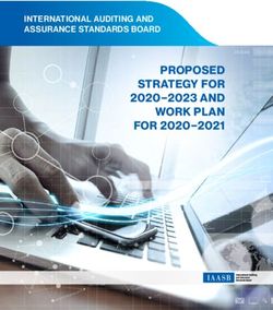 PROPOSED STRATEGY FOR 2020-2023 AND WORK PLAN FOR 2020-2021 - INTERNATIONAL AUDITING AND ASSURANCE STANDARDS BOARD